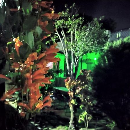 Last Chance Cafe And Guest House Rishīkesh Exterior foto